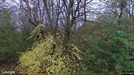 Lejlighed til leje, Brønshøj, &lt;span class=&quot;blurred street&quot; onclick=&quot;ProcessAdRequest(3076775)&quot;&gt;&lt;span class=&quot;hint&quot;&gt;Se vej-navn&lt;/span&gt;[xxxxxxxxxx]&lt;/span&gt;