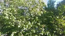 Lejlighed til salg, Middelfart, &lt;span class=&quot;blurred street&quot; onclick=&quot;ProcessAdRequest(3092731)&quot;&gt;&lt;span class=&quot;hint&quot;&gt;Se vej-navn&lt;/span&gt;[xxxxxxxxxx]&lt;/span&gt;