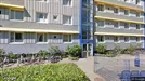 Lejlighed til leje, Ringsted, &lt;span class=&quot;blurred street&quot; onclick=&quot;ProcessAdRequest(3093361)&quot;&gt;&lt;span class=&quot;hint&quot;&gt;Se vej-navn&lt;/span&gt;[xxxxxxxxxx]&lt;/span&gt;