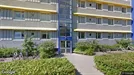 Lejlighed til leje, Ringsted, &lt;span class=&quot;blurred street&quot; onclick=&quot;ProcessAdRequest(3098497)&quot;&gt;&lt;span class=&quot;hint&quot;&gt;Se vej-navn&lt;/span&gt;[xxxxxxxxxx]&lt;/span&gt;