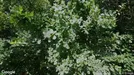 Lejlighed til salg, Hadsund, &lt;span class=&quot;blurred street&quot; onclick=&quot;ProcessAdRequest(3161060)&quot;&gt;&lt;span class=&quot;hint&quot;&gt;Se vej-navn&lt;/span&gt;[xxxxxxxxxx]&lt;/span&gt;