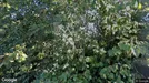 Lejlighed til salg, Middelfart, &lt;span class=&quot;blurred street&quot; onclick=&quot;ProcessAdRequest(3175807)&quot;&gt;&lt;span class=&quot;hint&quot;&gt;Se vej-navn&lt;/span&gt;[xxxxxxxxxx]&lt;/span&gt;