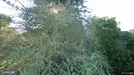 Lejlighed til salg, Rønne, &lt;span class=&quot;blurred street&quot; onclick=&quot;ProcessAdRequest(3207287)&quot;&gt;&lt;span class=&quot;hint&quot;&gt;Se vej-navn&lt;/span&gt;[xxxxxxxxxx]&lt;/span&gt;