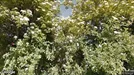 Lejlighed til salg, København S, &lt;span class=&quot;blurred street&quot; onclick=&quot;ProcessAdRequest(3207351)&quot;&gt;&lt;span class=&quot;hint&quot;&gt;Se vej-navn&lt;/span&gt;[xxxxxxxxxx]&lt;/span&gt;