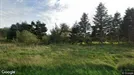 Lejlighed til salg, Bindslev, Margueritevej