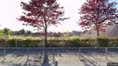 Lejlighed til leje, Smørum, Søagerhusene<span class="blurred street-number" onclick="ProcessAdRequest(3352736)"><span class="hint">Se vejnr.</span>[xxxxxxxx]</span>