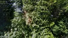 Lejlighed til salg, Faaborg, Trollesvej<span class="blurred street-number" onclick="ProcessAdRequest(3365631)"><span class="hint">Se vejnr.</span>[xxxxxxxx]</span>