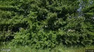 Lejlighed til leje, Klarup, Klarup Søpark<span class="blurred street-number" onclick="ProcessAdRequest(3381624)"><span class="hint">Se vejnr.</span>[xxxxxxxx]</span>