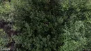 Lejlighed til salg, Bogense, Storkenhøjvej<span class="blurred street-number" onclick="ProcessAdRequest(3383038)"><span class="hint">Se vejnr.</span>[xxxxxxxx]</span>