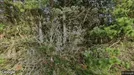 Lejlighed til leje, Rømø, Råbjergvej<span class="blurred street-number" onclick="ProcessAdRequest(3389039)"><span class="hint">Se vejnr.</span>[xxxxxxxx]</span>