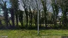 Lejlighed til leje, Odense SØ, Pæregrenen<span class="blurred street-number" onclick="ProcessAdRequest(3395086)"><span class="hint">Se vejnr.</span>[xxxxxxxx]</span>