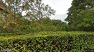 Lejlighed til salg, Roskilde, Ved Klostermuren<span class="blurred street-number" onclick="ProcessAdRequest(3395928)"><span class="hint">Se vejnr.</span>[xxxxxxxx]</span>