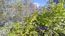 Lejlighed til salg, Stege, Telefonstien<span class="blurred street-number" onclick="ProcessAdRequest(3406332)"><span class="hint">Se vejnr.</span>[xxxxxxxx]</span>