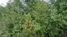 Lejlighed til salg, Liseleje, Nordklinten<span class="blurred street-number" onclick="ProcessAdRequest(3453464)"><span class="hint">Se vejnr.</span>[xxxxxxxx]</span>
