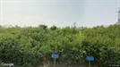 Lejlighed til leje, Herning, Koustrup Have<span class="blurred street-number" onclick="ProcessAdRequest(3461622)"><span class="hint">Se vejnr.</span>[xxxxxxxx]</span>