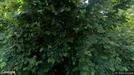 Lejlighed til leje, Hadsund, Klitvejen<span class="blurred street-number" onclick="ProcessAdRequest(3470045)"><span class="hint">Se vejnr.</span>[xxxxxxxx]</span>