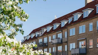 Dit næste yndlingssted på Amager