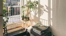 Værelse til leje, Charlottenlund, &lt;span class=&quot;blurred street&quot; onclick=&quot;ProcessAdRequest(1836696)&quot;&gt;&lt;span class=&quot;hint&quot;&gt;Se vej-navn&lt;/span&gt;[xxxxxxxxxx]&lt;/span&gt;