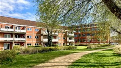 Lejlighed til leje i 5000 Odense C