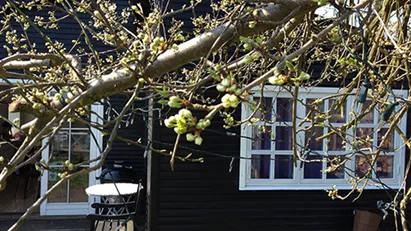 København SV - Hyggeligt møbleret værelse