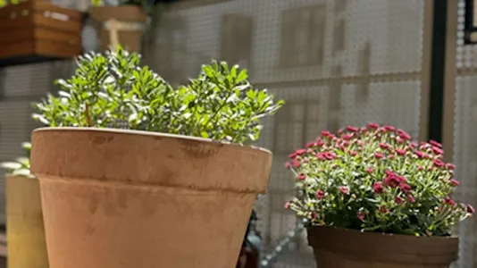 Lejligheder i Område ikke angivet - billede 7