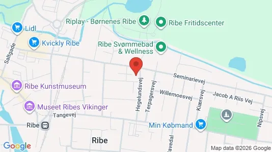 Lejligheder til leje i Ribe - kort over placeringen