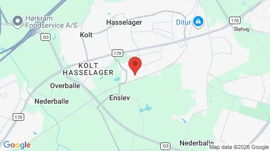 Huse til salg i Hasselager - kort over placeringen
