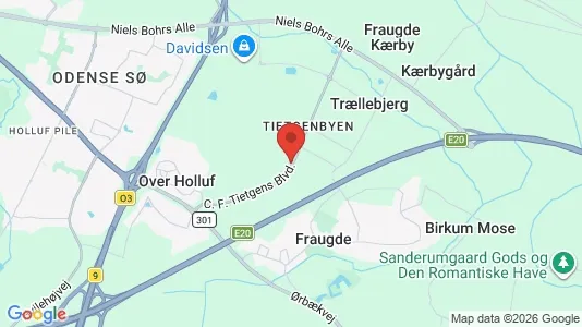 Huse til salg i Odense SØ - Foto fra Google Street View