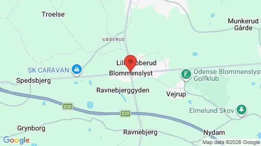 Huse til salg i Blommenslyst - Foto fra Google Street View