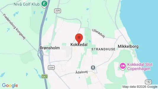 Huse til salg i Kokkedal - Foto fra Google Street View