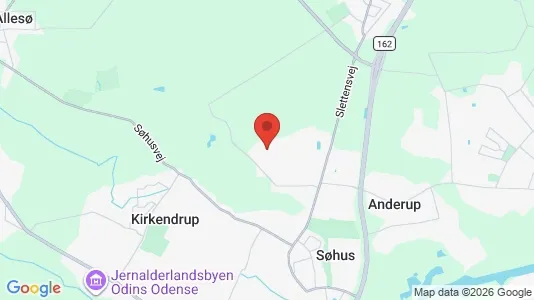 Huse til salg i Odense N - kort over placeringen