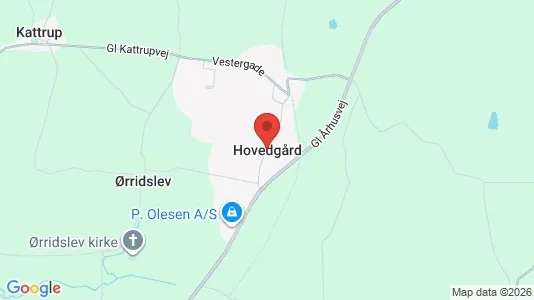 Grunde til salg i Hovedgård - Foto fra Google Street View