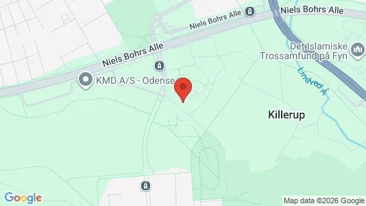 Lejligheder til leje i Odense M - kort over placeringen