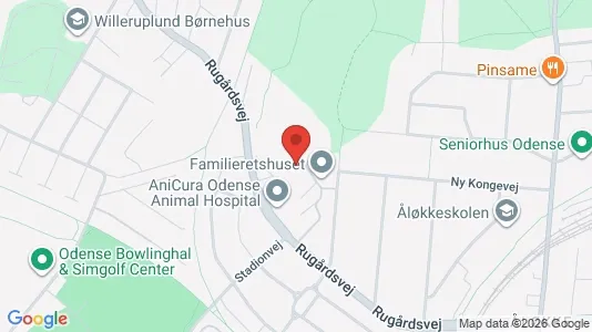 Lejligheder til leje i Odense C - kort over placeringen