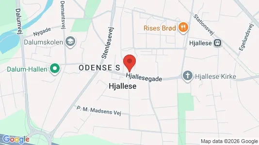 Lejligheder til leje i Odense S - kort over placeringen