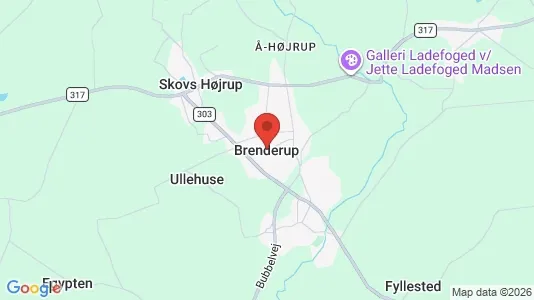 Huse til salg i Brenderup Fyn - kort over placeringen