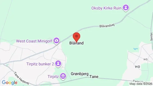 Sommerhuse til salg i Blåvand - Foto fra Google Street View