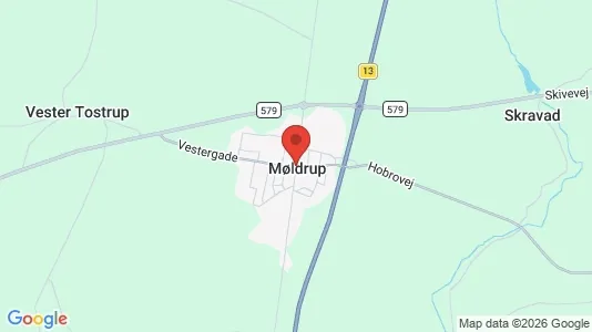Huse til salg i Møldrup - kort over placeringen