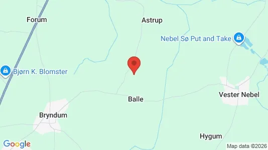 Huse til salg i Esbjerg N - kort over placeringen