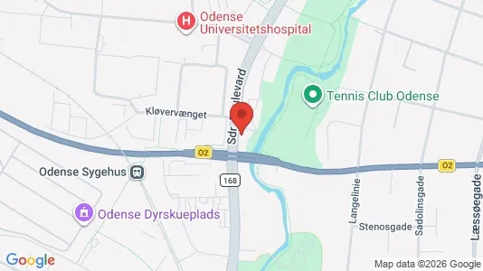 Lejligheder til leje i Odense C - kort over placeringen