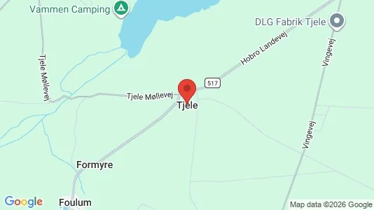 Huse til salg i Tjele - Foto fra Google Street View