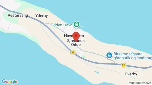 Sommerhuse til salg i Sjællands Odde - Foto fra Google Street View