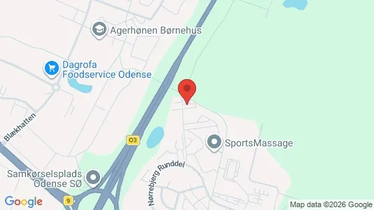 Lejligheder til leje i Odense SØ - kort over placeringen