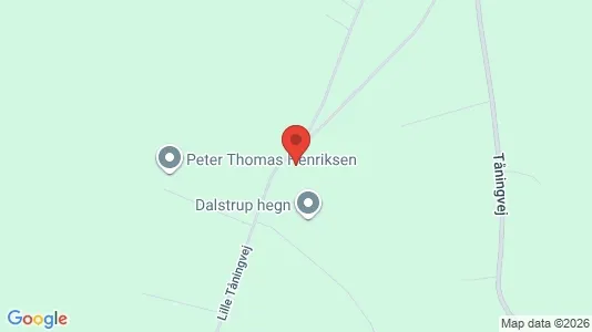 Lejligheder til leje i Skanderborg - kort over placeringen