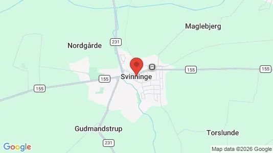 Huse til salg i Svinninge - Foto fra Google Street View
