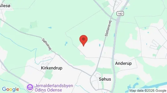 Huse til salg i Odense N - kort over placeringen