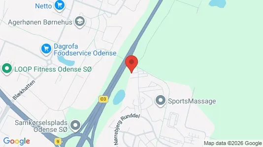 Lejligheder til leje i Odense SØ - kort over placeringen