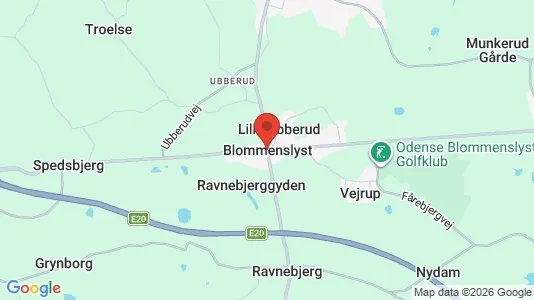 Huse til salg i Blommenslyst - kort over placeringen
