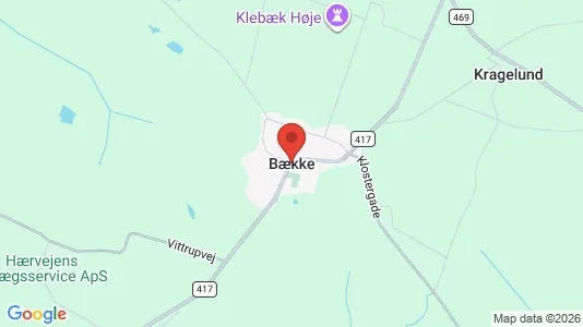 Huse til salg i Bække - kort over placeringen