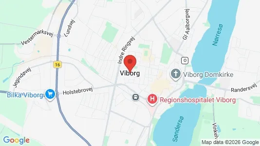 Huse til salg i Viborg - kort over placeringen